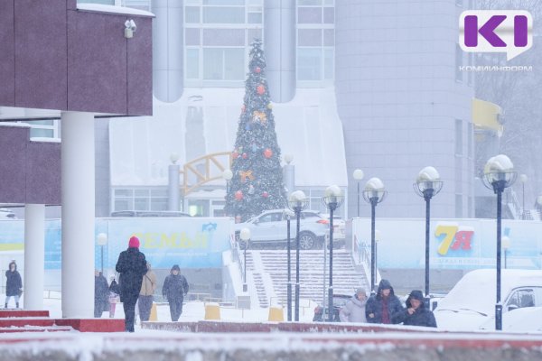 В южных районах Коми ожидаются сильные снегопады