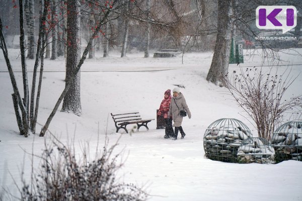 Погода в Коми 12 декабря: северный ветер, снег