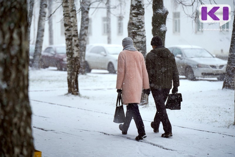 Погода в Коми 14 декабря: слабый снег, -16°С