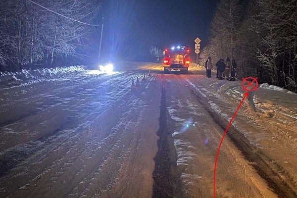 В Удорском районе неопытный водитель получила травмы в ДТП