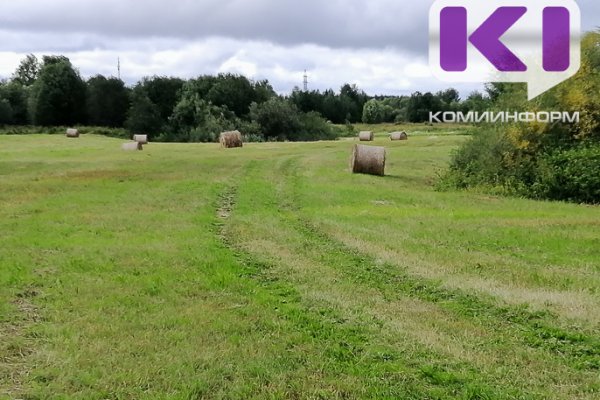 В Коми вовлечено в сельскохозяйственный оборот более 2436,6 га земель

