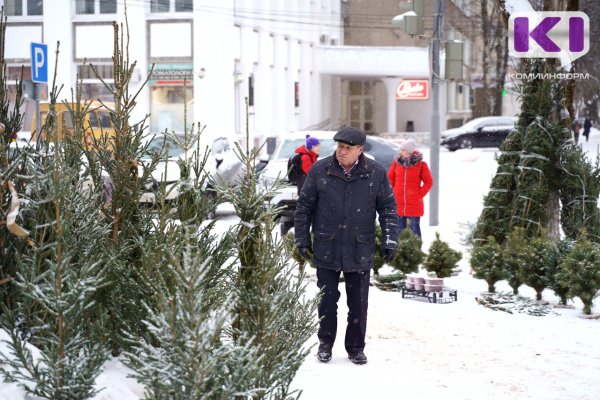 В Сыктывкаре начнут работу елочные базары