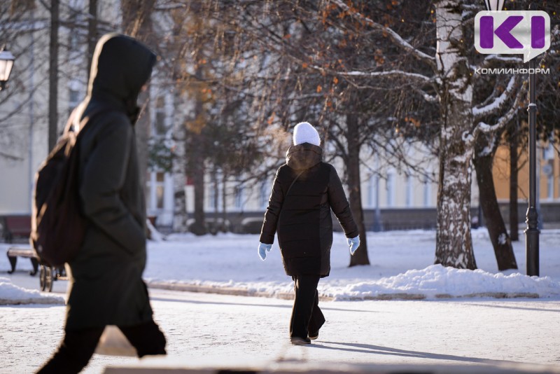 Погода в Коми 25 декабря: южный ветер, -5°С