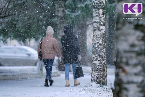 Погода в Коми 31 декабря: сильный снег, -2...-7°С.