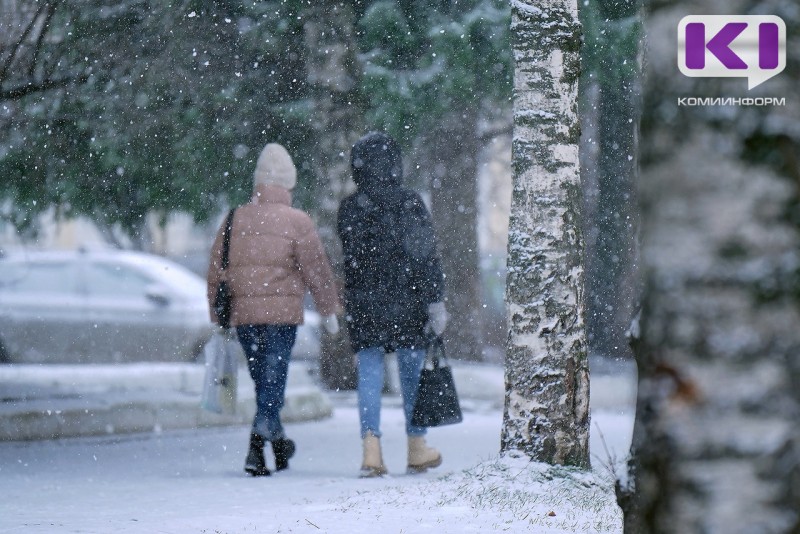 Погода в Коми 31 декабря: сильный снег, -2...-7°С.