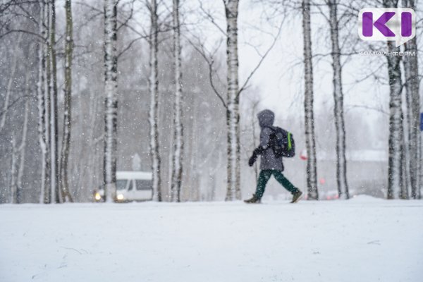 Погода в Коми 10 января: небольшой снег, в отдельных районах метель