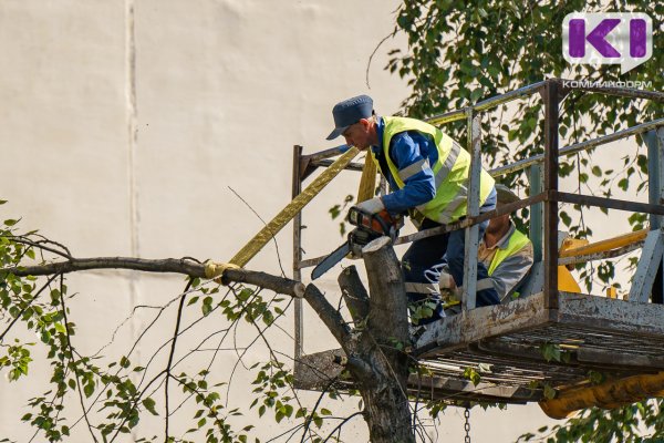 В Сыктывдинском районе завершено расследование уголовного дела о получении тяжелой производственной травмы
