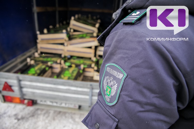 В Республику Коми поступило недостоверно задекларированное зерно нута