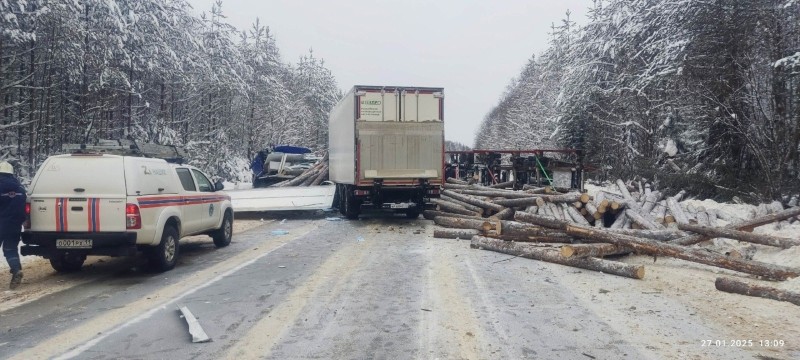 Супруга погибшего в ДТП водителя лесовоза ищет очевидцев
