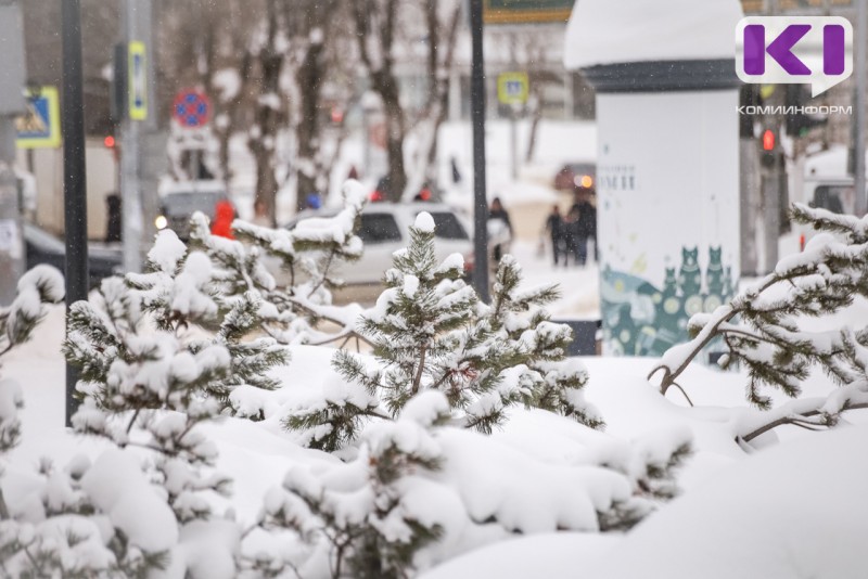 Погода в Коми 12 февраля: порывистый ветер, метель, 0...-5°С