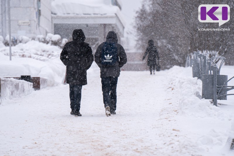 Погода в Коми 20 февраля: порывистый ветер, -6...-11°С