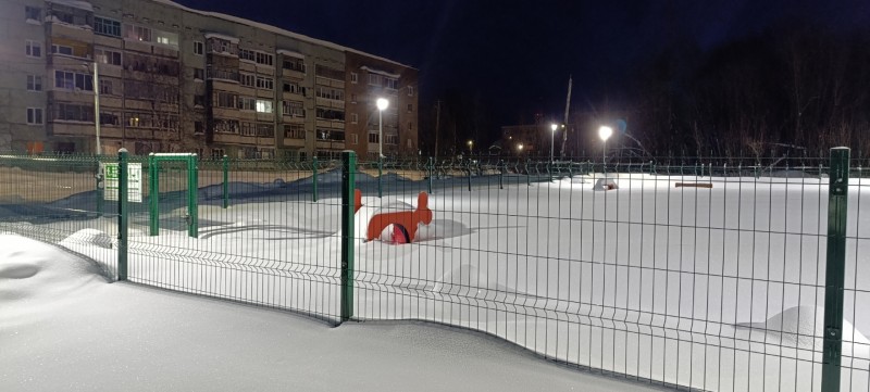 Площадка для выгула собак в Вуктыле по пояс занесена снегом