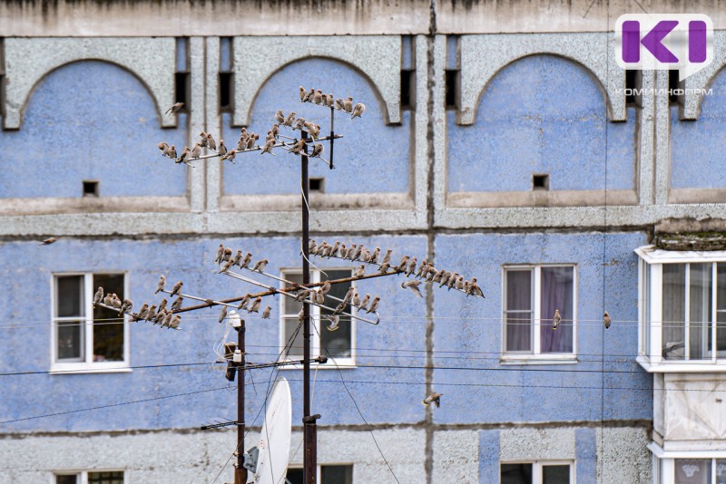  В Коми началась подача заявок на участие в программе переселения из районов Крайнего Севера