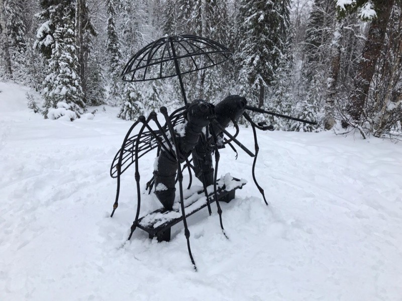 В Усинске активизируют работу по заключению контрактов для благоустройства города