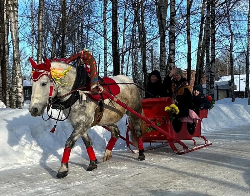 В Сыктывкаре юные гимназисты на Масленицу покатались на лошадях 


