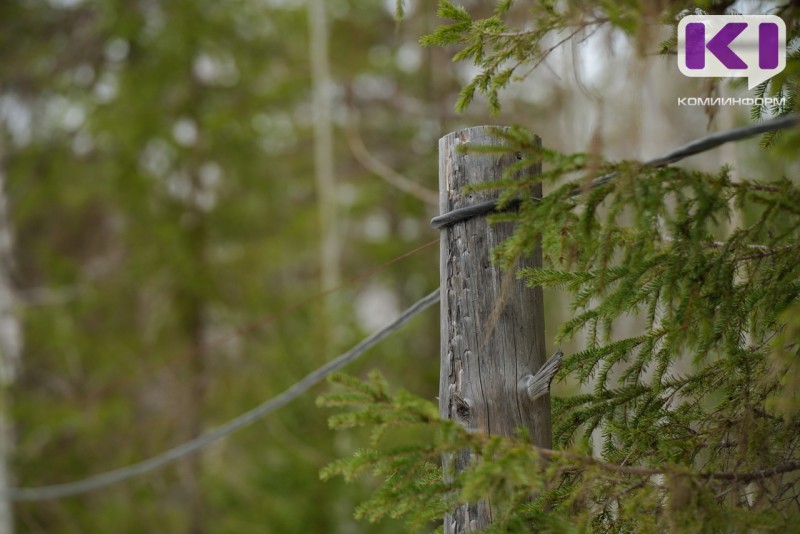 Минприроды и Сыктывдинский ЛПК встретились в суде из-за столба 