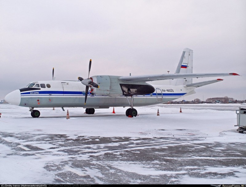 В Сыктывкаре посадку самолета задержали из-за стаи собак на взлетно-посадочной полосе
