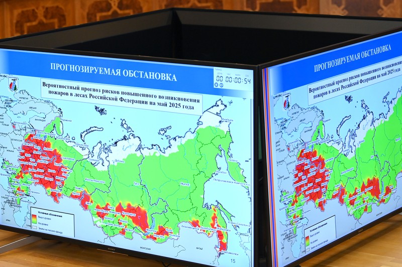 В Правительстве Коми обсудили подготовку к пожароопасному сезону

