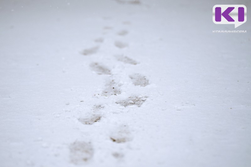 Дорожное хозяйство Сыктывкара увеличило стоимость трат на вывоз и хранение снега с городских улиц
