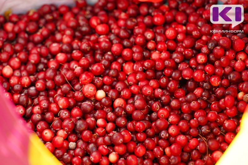 Экспортеры Коми рассматривают выход на рынки Китая и Турции

