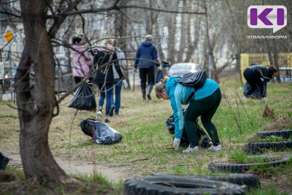 Минприроды Коми утвердило порядок взаимодействия с волонтёрскими организациями