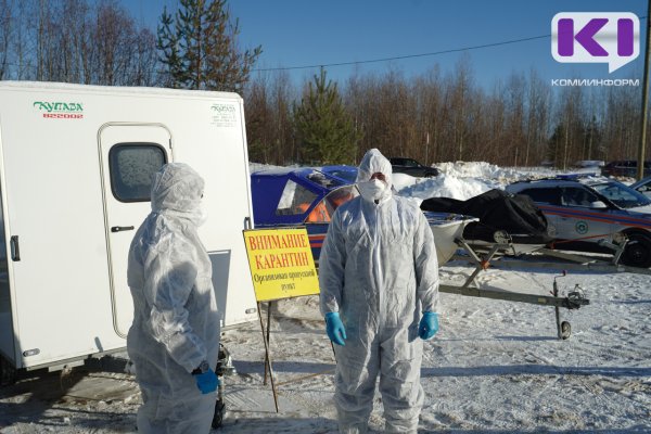 Уровень заболеваемости ОРВИ и гриппом в Коми превысил 