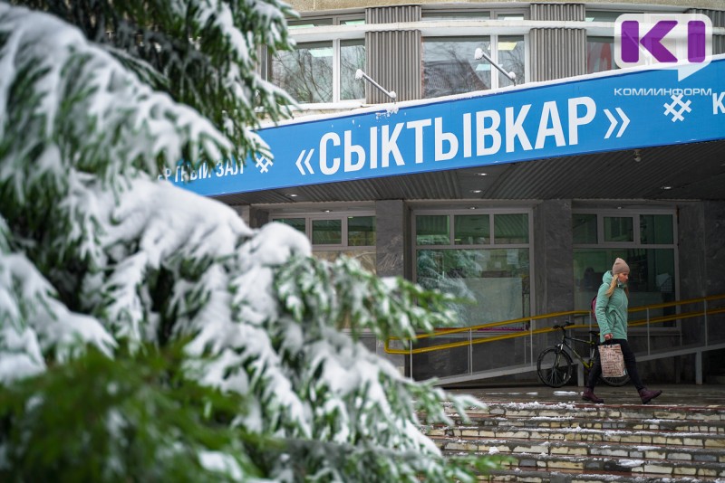 На улицах Сыктывкара этим летом высадят 130 деревьев и более 1600 кустарников