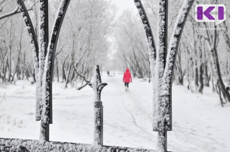В Воркуте объявлен актированный день
