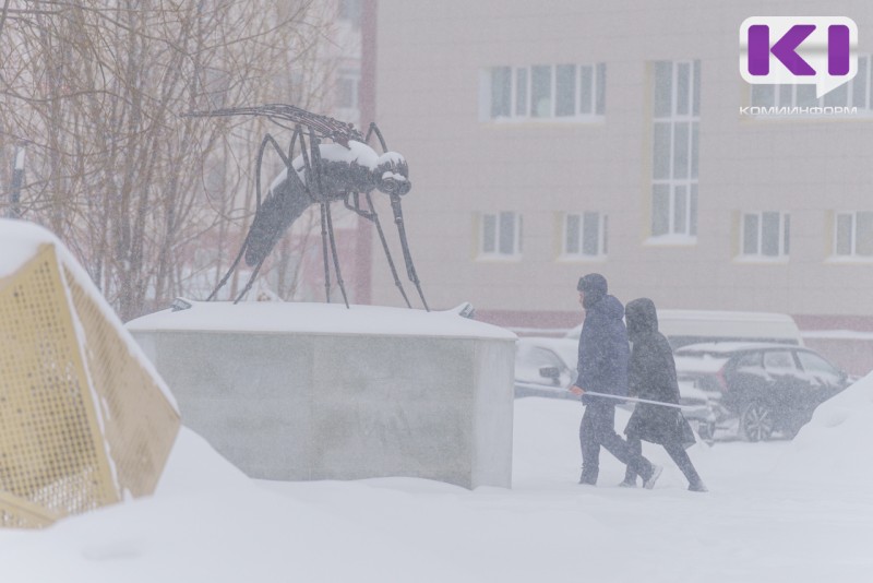 Погода в Коми 16 марта: штормовой ветер, +1...-4°С