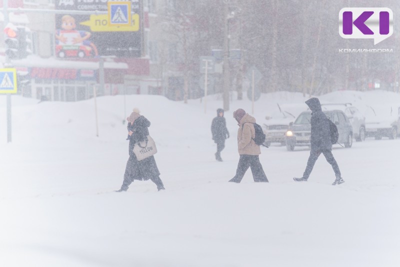 В северных районах Коми ожидается штормовой ветер