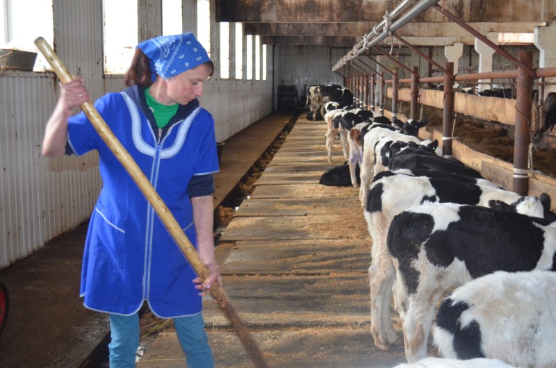 Минсельхоз Коми назвал основные меры господдержки фермеров