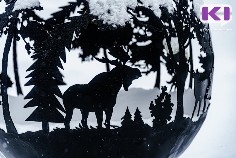 В Усть-Цилемском и Усинском районах ожидается штормовой ветер