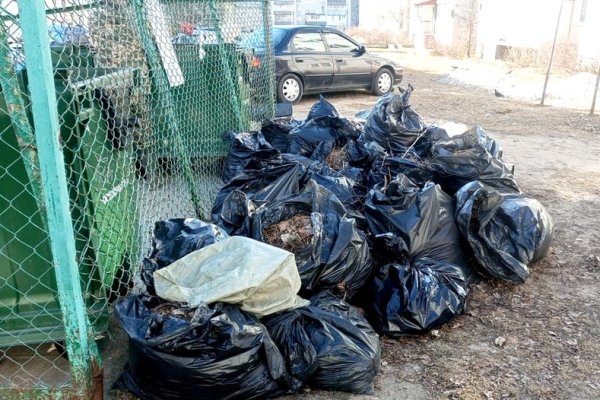 Региональный оператор Севера напоминает – на площадках запрещено складировать ветки, листья и прочие огнеопасные отходы