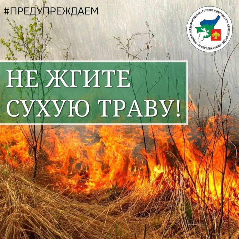 Минприроды Коми: не сжигайте сухую траву