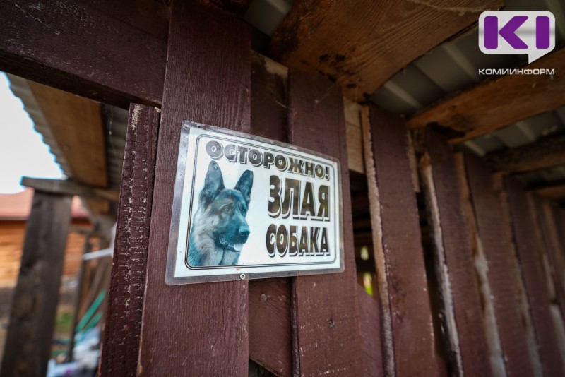 В Выльгорте собака напала на несовершеннолетнюю – ребенок в больнице