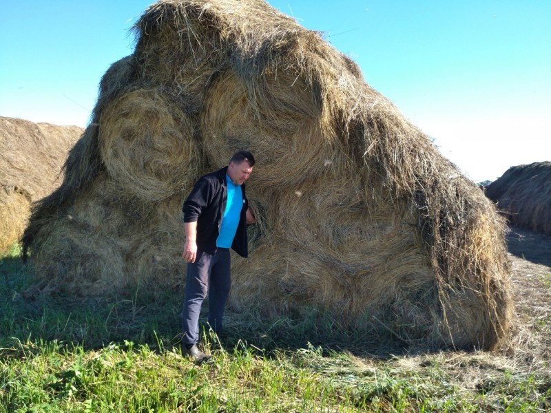 Самое крупное КФХ в Усть-Цилемском районе наращивает объемы производства