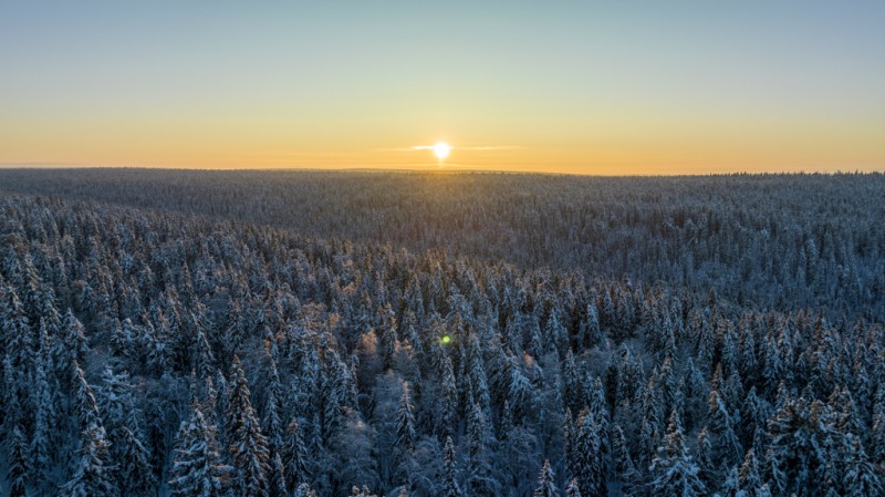 Печоро-Илычский заповедник в Коми отметил 95-летие