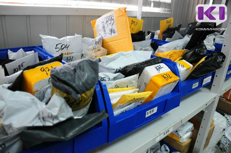 В Сыктывкаре две женщины обвиняются в хищении товаров у популярного маркетплейса