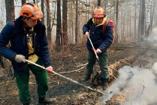 Более 500 тысяч гектаров в огне: как пожарные из Коми помогают Забайкалью в борьбе с огненной стихией