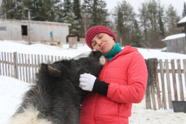 Зеленецкий конный клуб проводит бесплатные занятия для ветеранов СВО и их семей