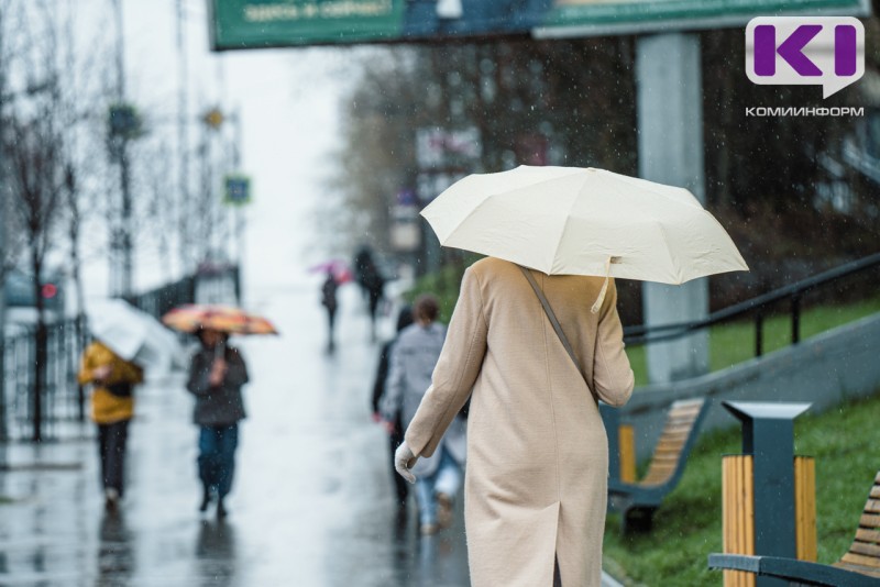 Погода в Коми 18 мая: на севере дождь со снегом, на юге до +18°С