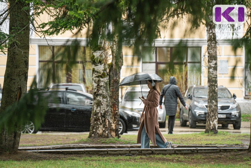 Погода в Коми 22 мая: на севере преимущественно без осадков, на юге дождь