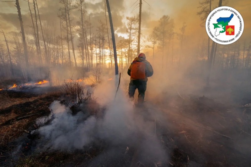 В лесах Коми установлен IV класс пожарной опасности