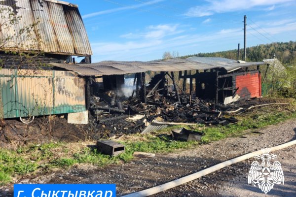 В Коми при пожаре пострадала дачница