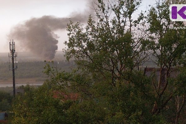 В Коми ликвидирован лесной пожар