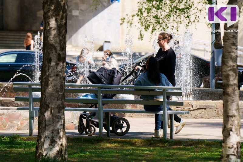 Погода в Коми 29 мая: местами дождь, возможна гроза, +18...+23°С