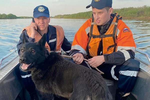 Муниципальные спасатели Сыктывкара передали в приют 