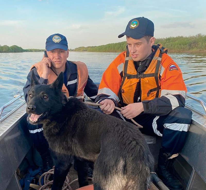 Муниципальные спасатели Сыктывкара передали в приют "Друг" спасенного пса 