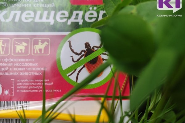 За неделю в больницы после укусов клещей обратились более 530 жителей Коми