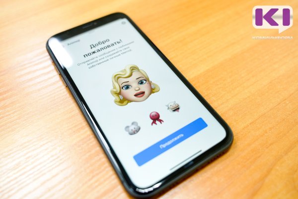 Житель Сыктывкара доверился новой знакомой из соцсетей и лишился денег